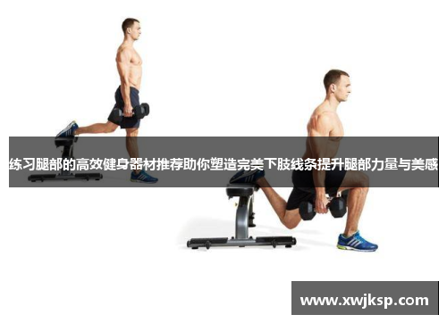 练习腿部的高效健身器材推荐助你塑造完美下肢线条提升腿部力量与美感