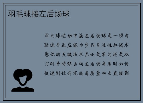 羽毛球接左后场球